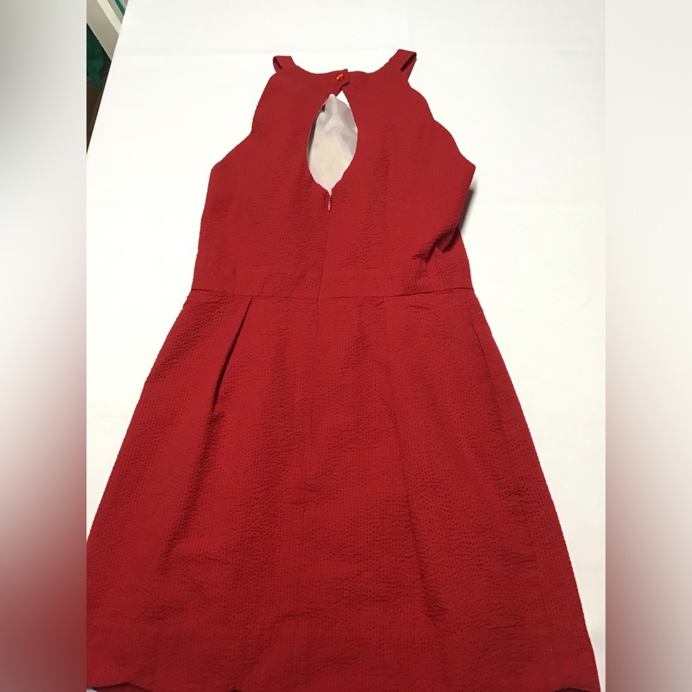 Lauren James dress medium